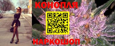 СК Обнинск