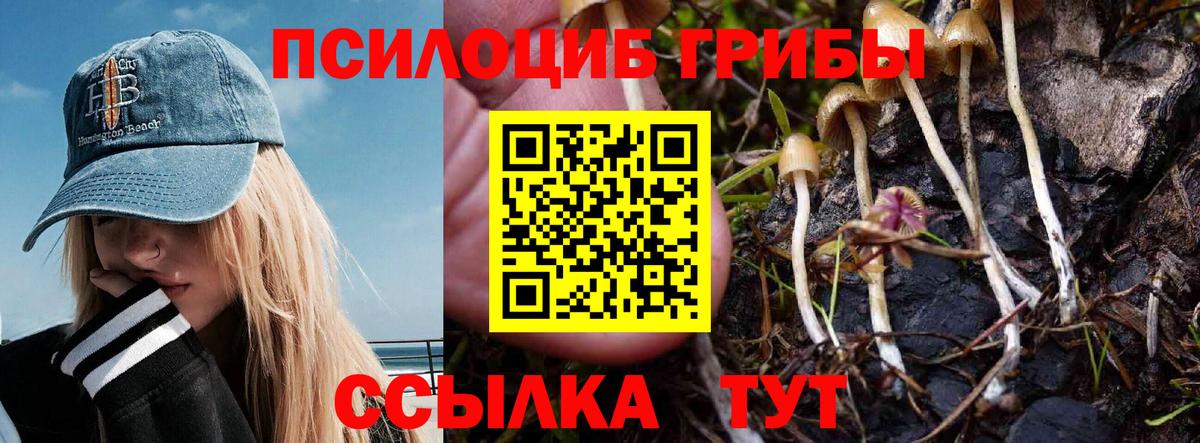 Галлюциногенные грибы мицелий  Вход с VPN  Волхов 