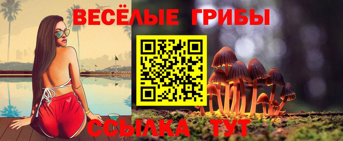 Псилоцибиновые грибы прущие грибы Волхов
