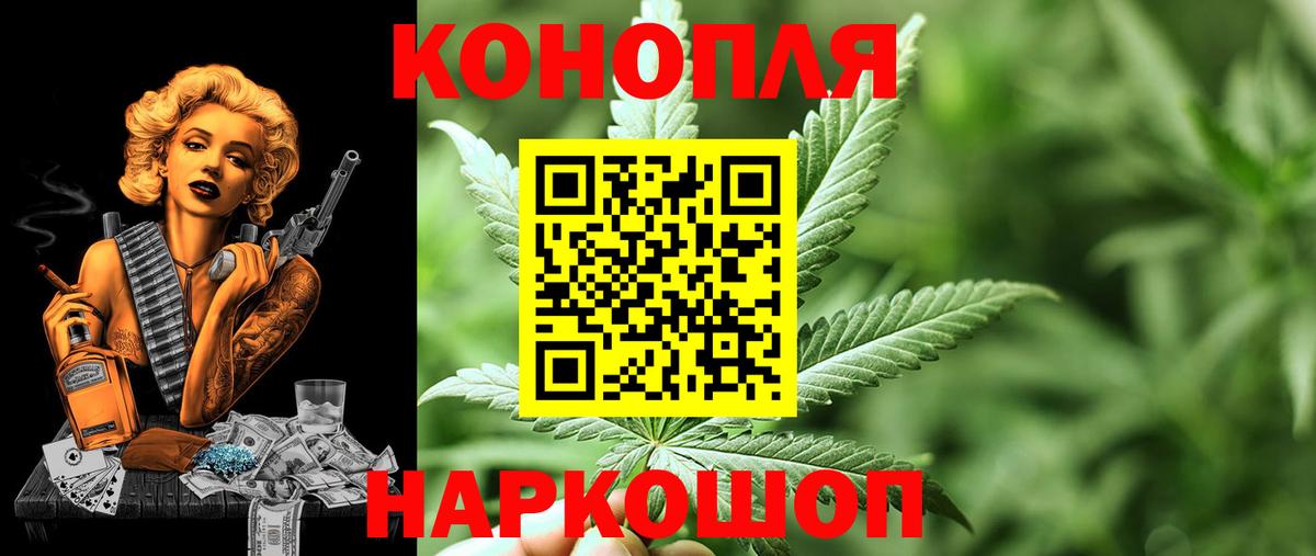 Волхов  Бошки Шишки гибрид  Бошки марихуана марихуана  Бошки марихуана марихуана  Конопля Bruce Banner  Вход с VPN 